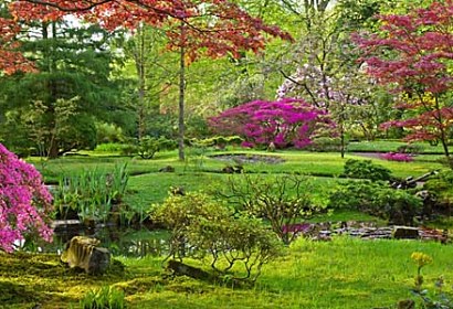 Fototapeta Garden 2071